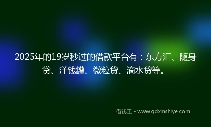 2025年的19岁秒过的借款平台有：东方汇、随身贷、洋钱罐、微粒贷、滴水贷等。