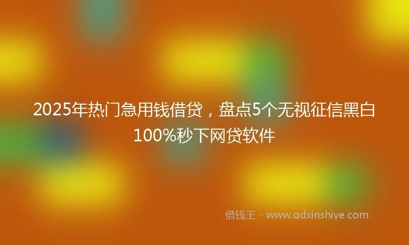 2025年热门急用钱借贷，盘点5个无视征信黑白100%秒下网贷软件