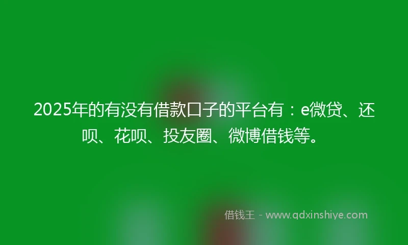 2025年的有没有借款口子的平台有：e微贷、还呗、花呗、投友圈、微博借钱等。