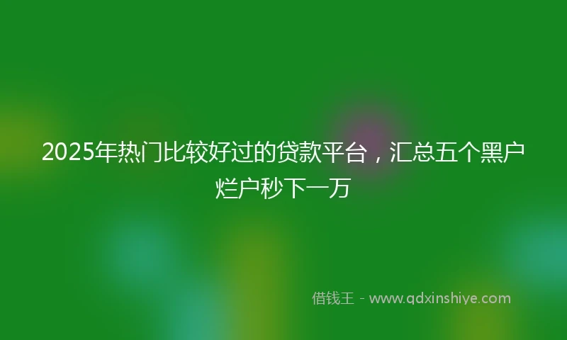 2025年热门比较好过的贷款平台，汇总五个黑户烂户秒下一万
