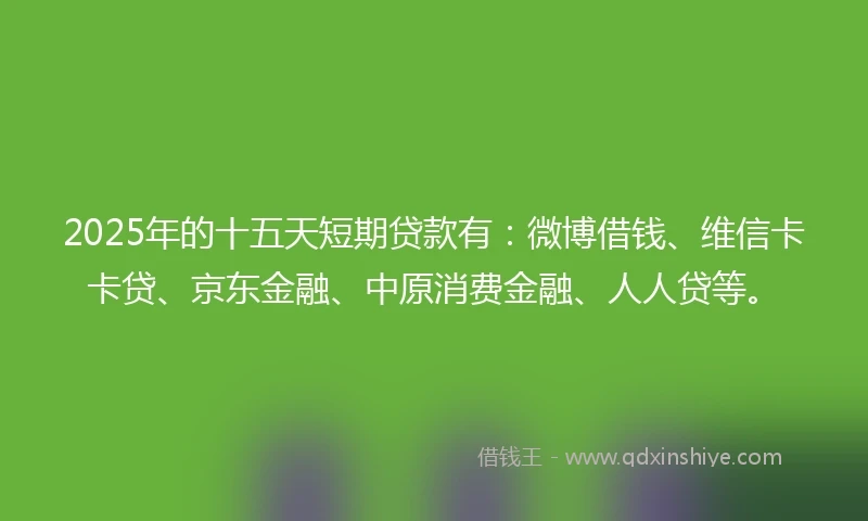 2025年的十五天短期贷款有：微博借钱、维信卡卡贷、京东金融、中原消费金融、人人贷等。