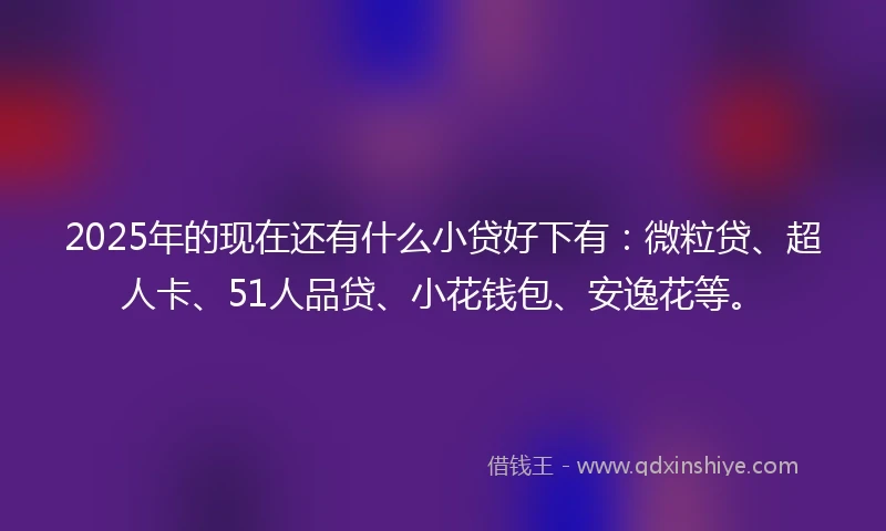2025年的现在还有什么小贷好下有：微粒贷、超人卡、51人品贷、小花钱包、安逸花等。