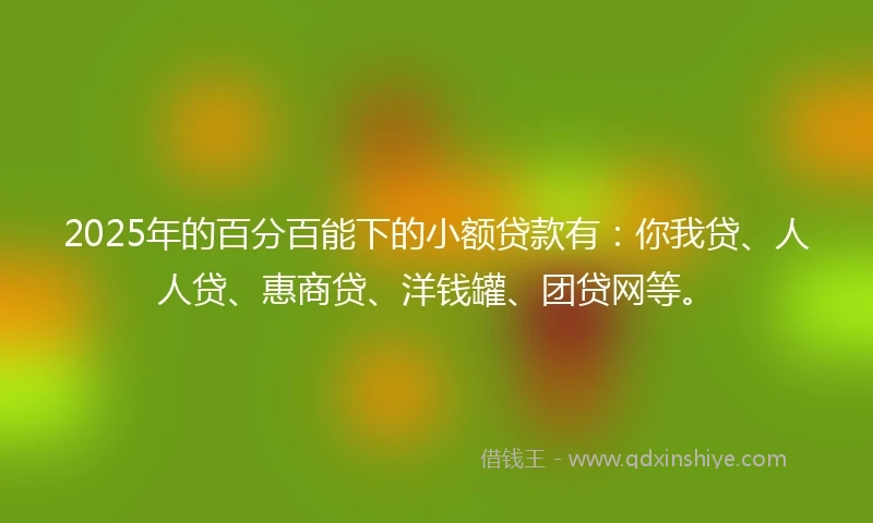 2025年的百分百能下的小额贷款有：你我贷、人人贷、惠商贷、洋钱罐、团贷网等。