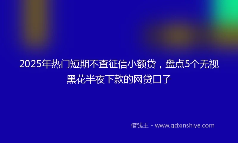2025年热门短期不查征信小额贷，盘点5个无视黑花半夜下款的网贷口子