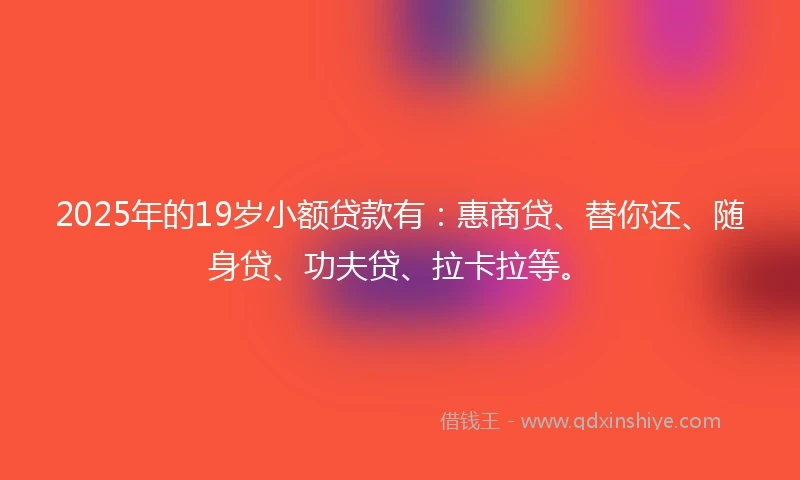 2025年的19岁小额贷款有：惠商贷、替你还、随身贷、功夫贷、拉卡拉等。