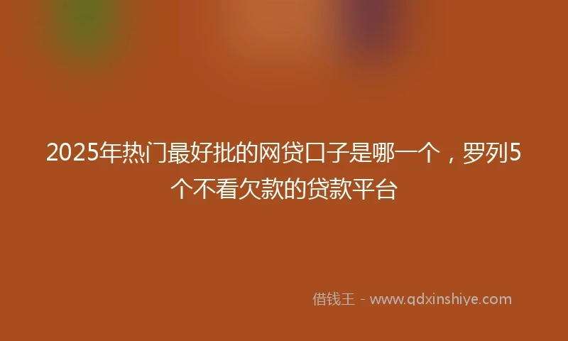 2025年热门最好批的网贷口子是哪一个，罗列5个不看欠款的贷款平台