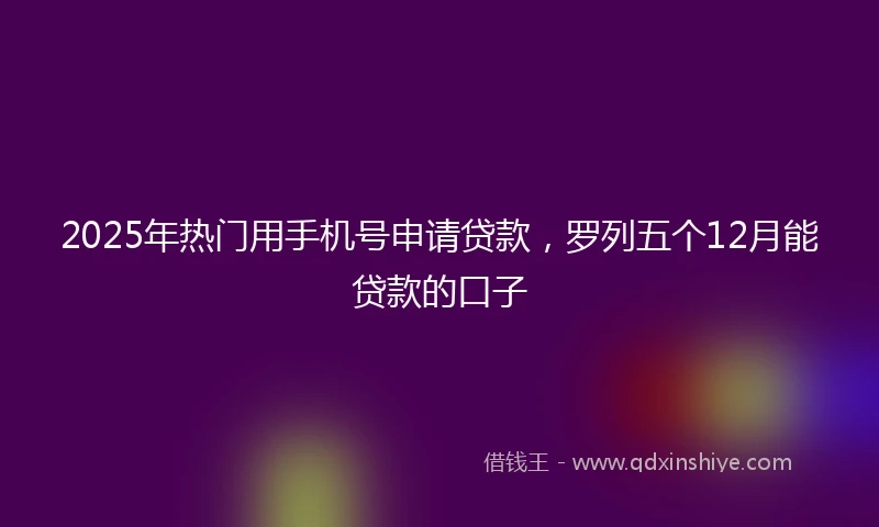 2025年热门用手机号申请贷款，罗列五个12月能贷款的口子