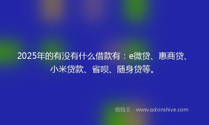 2025年的有没有什么借款有：e微贷、惠商贷、小米贷款、省呗、随身贷等。