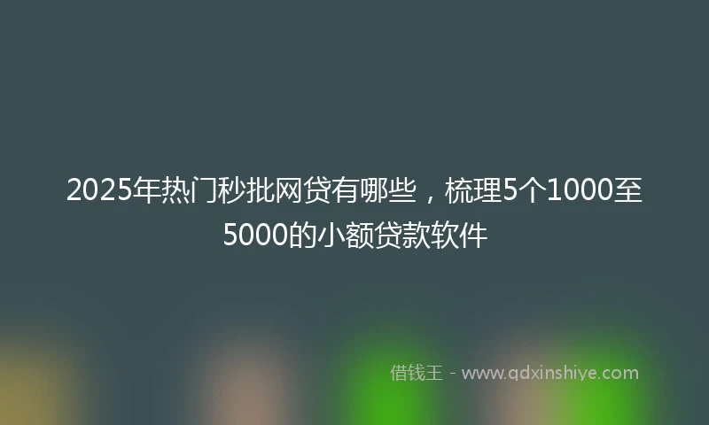 2025年热门秒批网贷有哪些，梳理5个1000至5000的小额贷款软件
