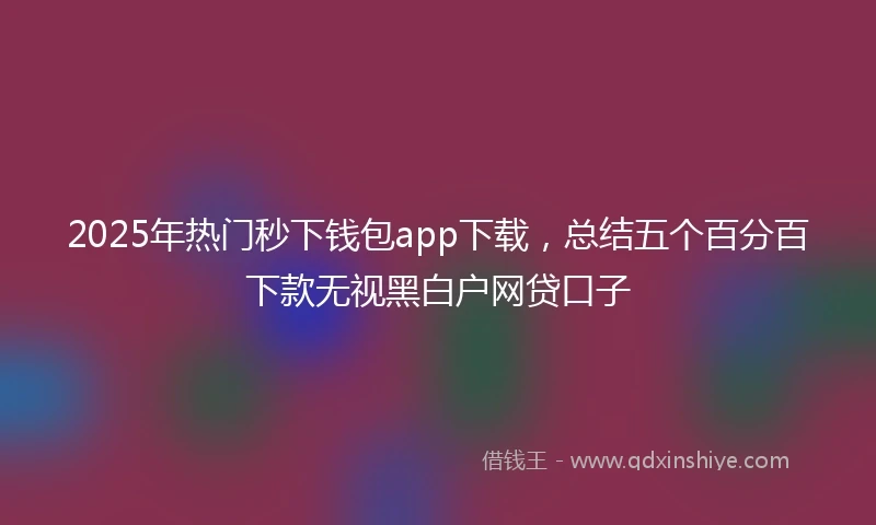 2025年热门秒下钱包app下载，总结五个百分百下款无视黑白户网贷口子