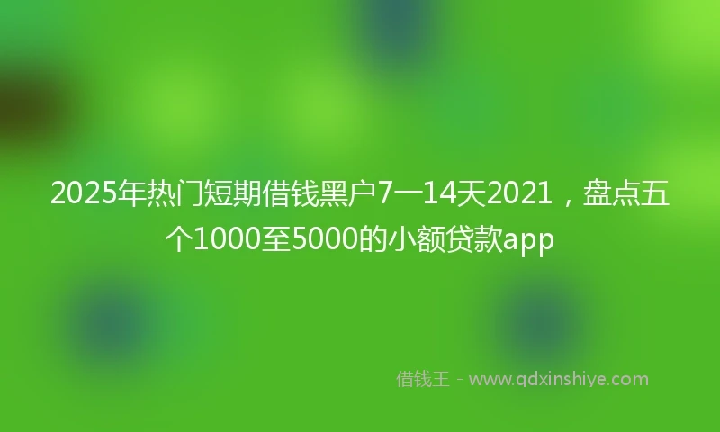 2025年热门短期借钱黑户7一14天2021，盘点五个1000至5000的小额贷款app