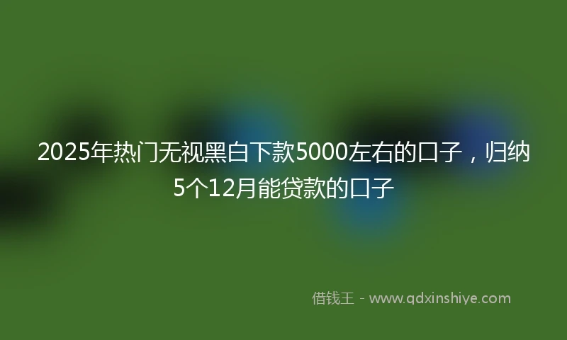 2025年热门无视黑白下款5000左右的口子，归纳5个12月能贷款的口子