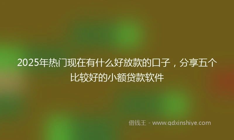2025年热门现在有什么好放款的口子，分享五个比较好的小额贷款软件