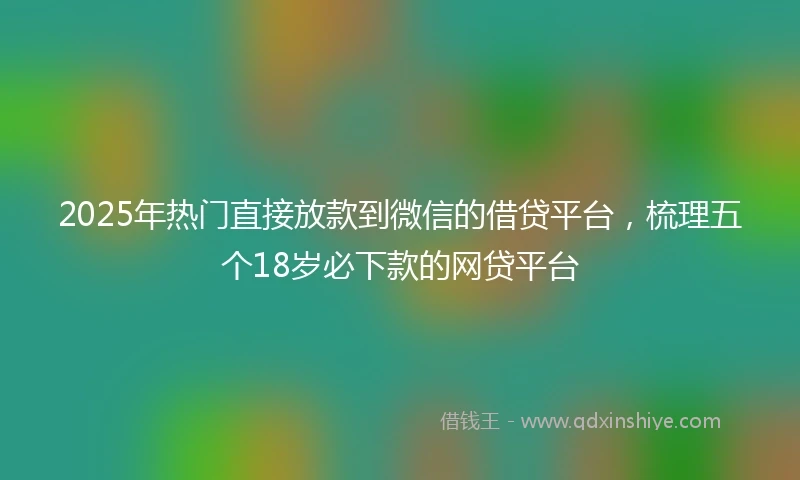 2025年热门直接放款到微信的借贷平台，梳理五个18岁必下款的网贷平台
