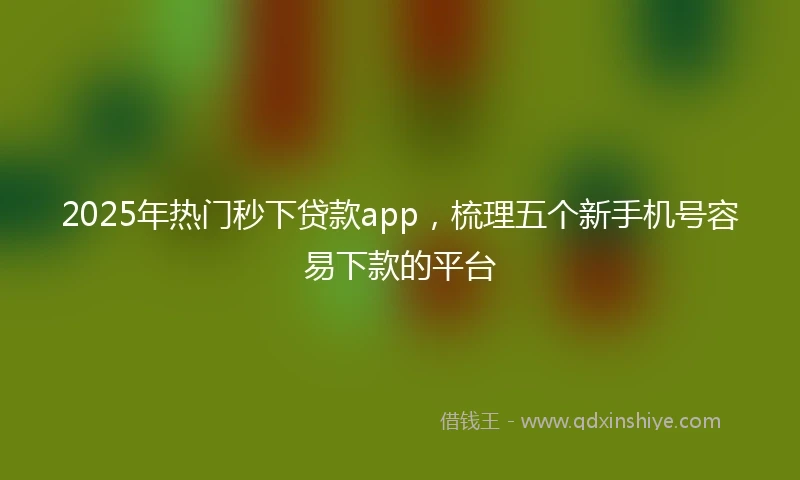 2025年热门秒下贷款app，梳理五个新手机号容易下款的平台