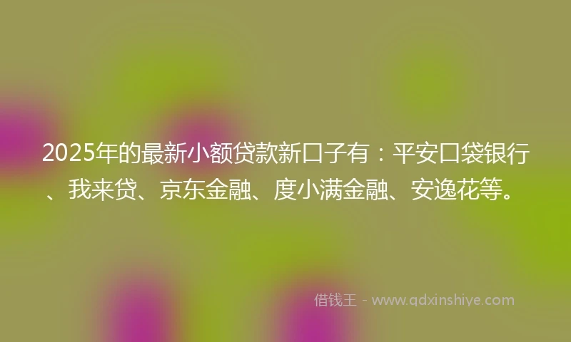 2025年的最新小额贷款新口子有：平安口袋银行、我来贷、京东金融、度小满金融、安逸花等。