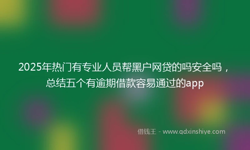 2025年热门有专业人员帮黑户网贷的吗安全吗，总结五个有逾期借款容易通过的app