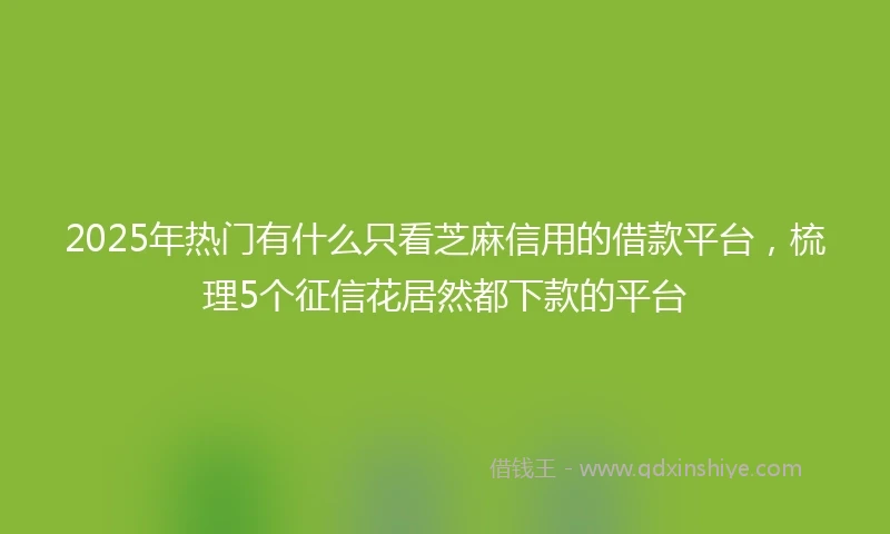 2025年热门有什么只看芝麻信用的借款平台，梳理5个征信花居然都下款的平台