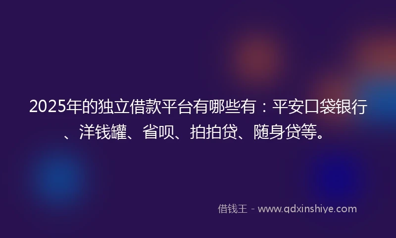 2025年的独立借款平台有哪些有：平安口袋银行、洋钱罐、省呗、拍拍贷、随身贷等。