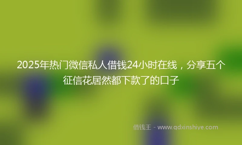 2025年热门微信私人借钱24小时在线，分享五个征信花居然都下款了的口子