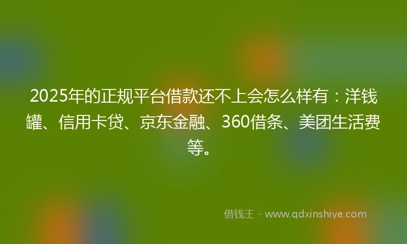2025年的正规平台借款还不上会怎么样有：洋钱罐、信用卡贷、京东金融、360借条、美团生活费等。
