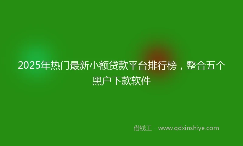 2025年热门最新小额贷款平台排行榜，整合五个黑户下款软件