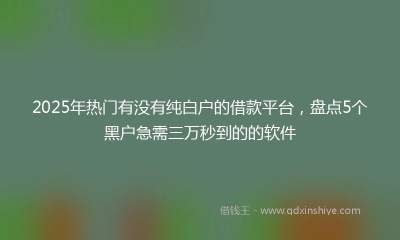 2025年热门有没有纯白户的借款平台，盘点5个黑户急需三万秒到的的软件