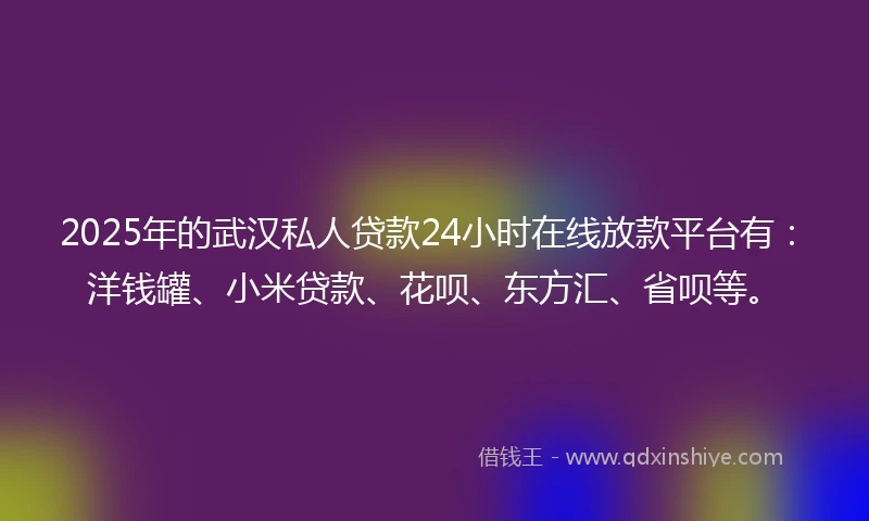 2025年的武汉私人贷款24小时在线放款平台有：洋钱罐、小米贷款、花呗、东方汇、省呗等。
