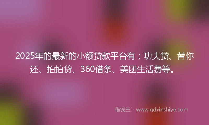 2025年的最新的小额贷款平台有：功夫贷、替你还、拍拍贷、360借条、美团生活费等。