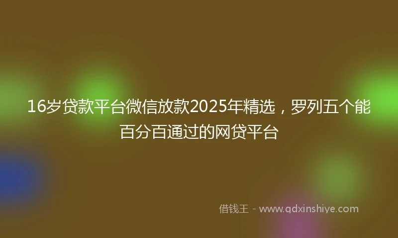 16岁贷款平台微信放款2025年精选，罗列五个能百分百通过的网贷平台