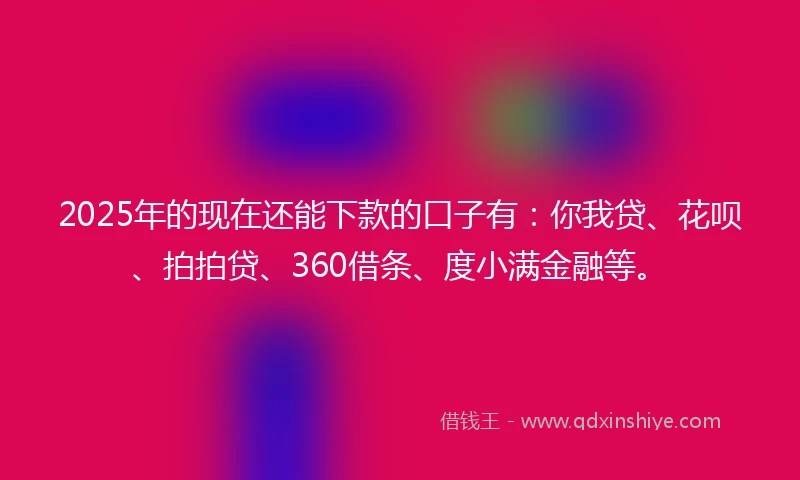 2025年的现在还能下款的口子有：你我贷、花呗、拍拍贷、360借条、度小满金融等。