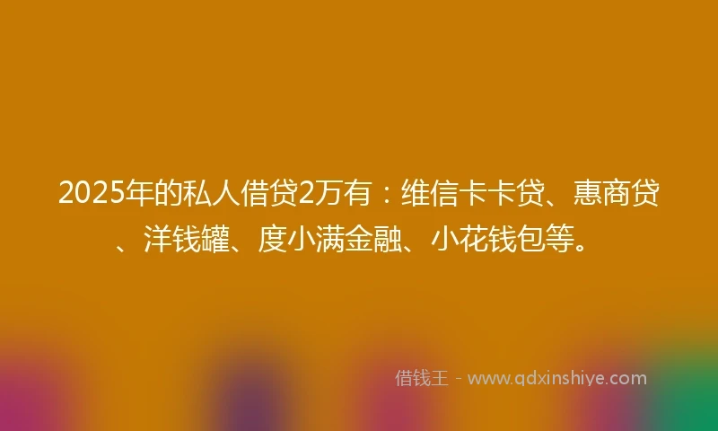 2025年的私人借贷2万有：维信卡卡贷、惠商贷、洋钱罐、度小满金融、小花钱包等。