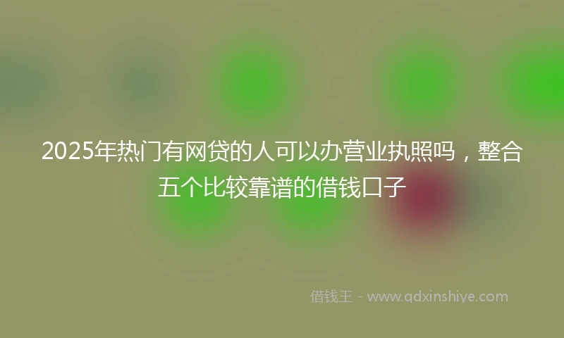 2025年热门有网贷的人可以办营业执照吗，整合五个比较靠谱的借钱口子