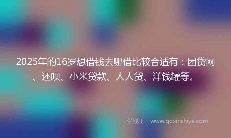 2025年的16岁想借钱去哪借比较合适有：团贷网、还呗、小米贷款、人人贷、洋钱罐等。