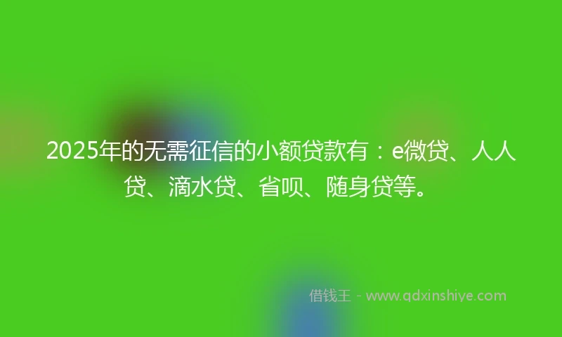 2025年的无需征信的小额贷款有：e微贷、人人贷、滴水贷、省呗、随身贷等。