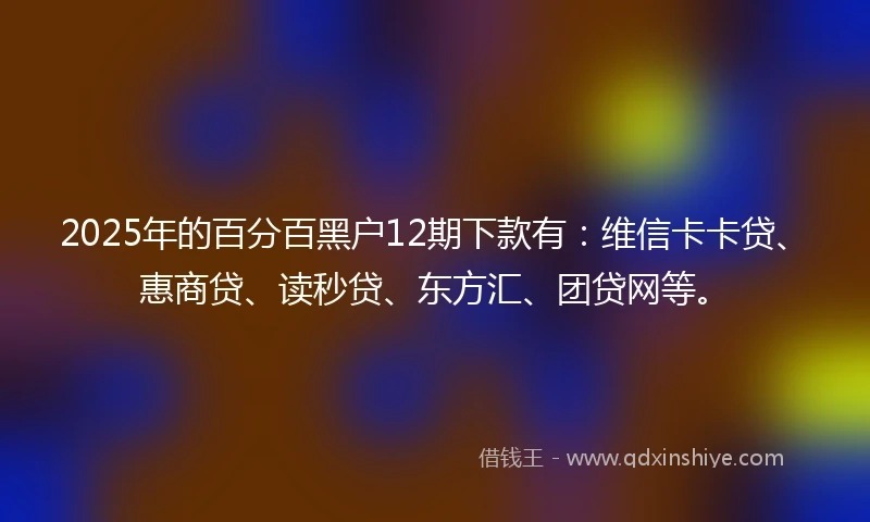 2025年的百分百黑户12期下款有：维信卡卡贷、惠商贷、读秒贷、东方汇、团贷网等。