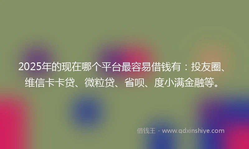 2025年的现在哪个平台最容易借钱有：投友圈、维信卡卡贷、微粒贷、省呗、度小满金融等。