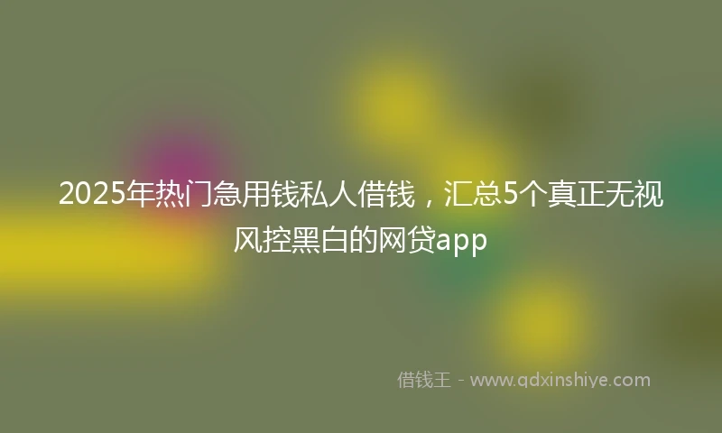 2025年热门急用钱私人借钱，汇总5个真正无视风控黑白的网贷app