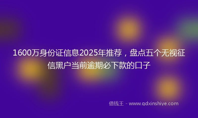 1600万身份证信息2025年推荐，盘点五个无视征信黑户当前逾期必下款的口子