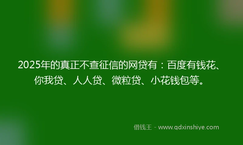 2025年的真正不查征信的网贷有：百度有钱花、你我贷、人人贷、微粒贷、小花钱包等。