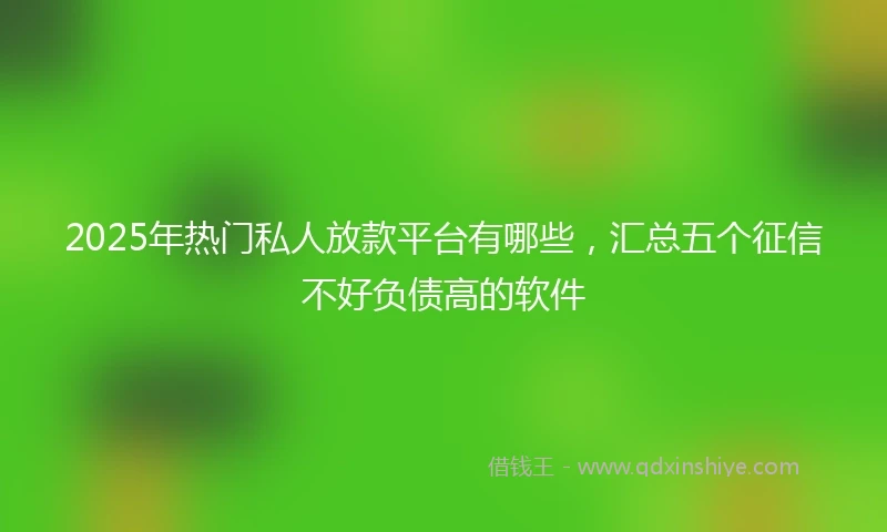 2025年热门私人放款平台有哪些，汇总五个征信不好负债高的软件