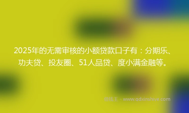 2025年的无需审核的小额贷款口子有：分期乐、功夫贷、投友圈、51人品贷、度小满金融等。