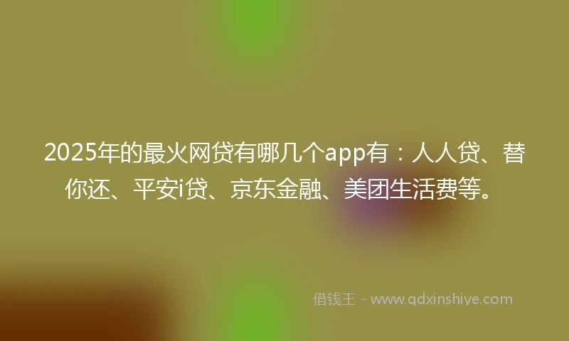 2025年的最火网贷有哪几个app有：人人贷、替你还、平安i贷、京东金融、美团生活费等。