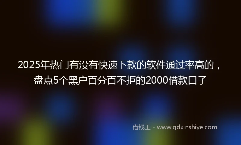 2025年热门有没有快速下款的软件通过率高的，盘点5个黑户百分百不拒的2000借款口子