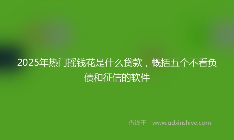 2025年热门摇钱花是什么贷款，概括五个不看负债和征信的软件