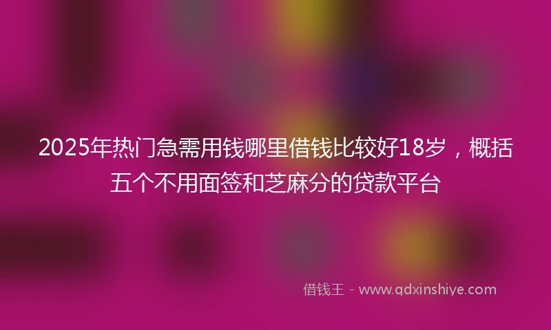 2025年热门急需用钱哪里借钱比较好18岁，概括五个不用面签和芝麻分的贷款平台