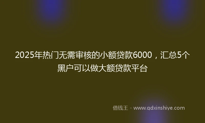 2025年热门无需审核的小额贷款6000，汇总5个黑户可以做大额贷款平台