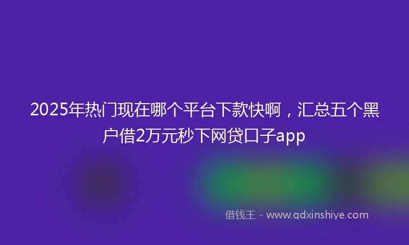 2025年热门现在哪个平台下款快啊，汇总五个黑户借2万元秒下网贷口子app