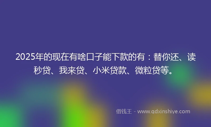 2025年的现在有啥口子能下款的有：替你还、读秒贷、我来贷、小米贷款、微粒贷等。