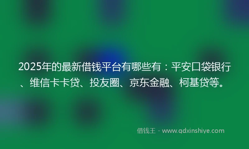 2025年的最新借钱平台有哪些有：平安口袋银行、维信卡卡贷、投友圈、京东金融、柯基贷等。